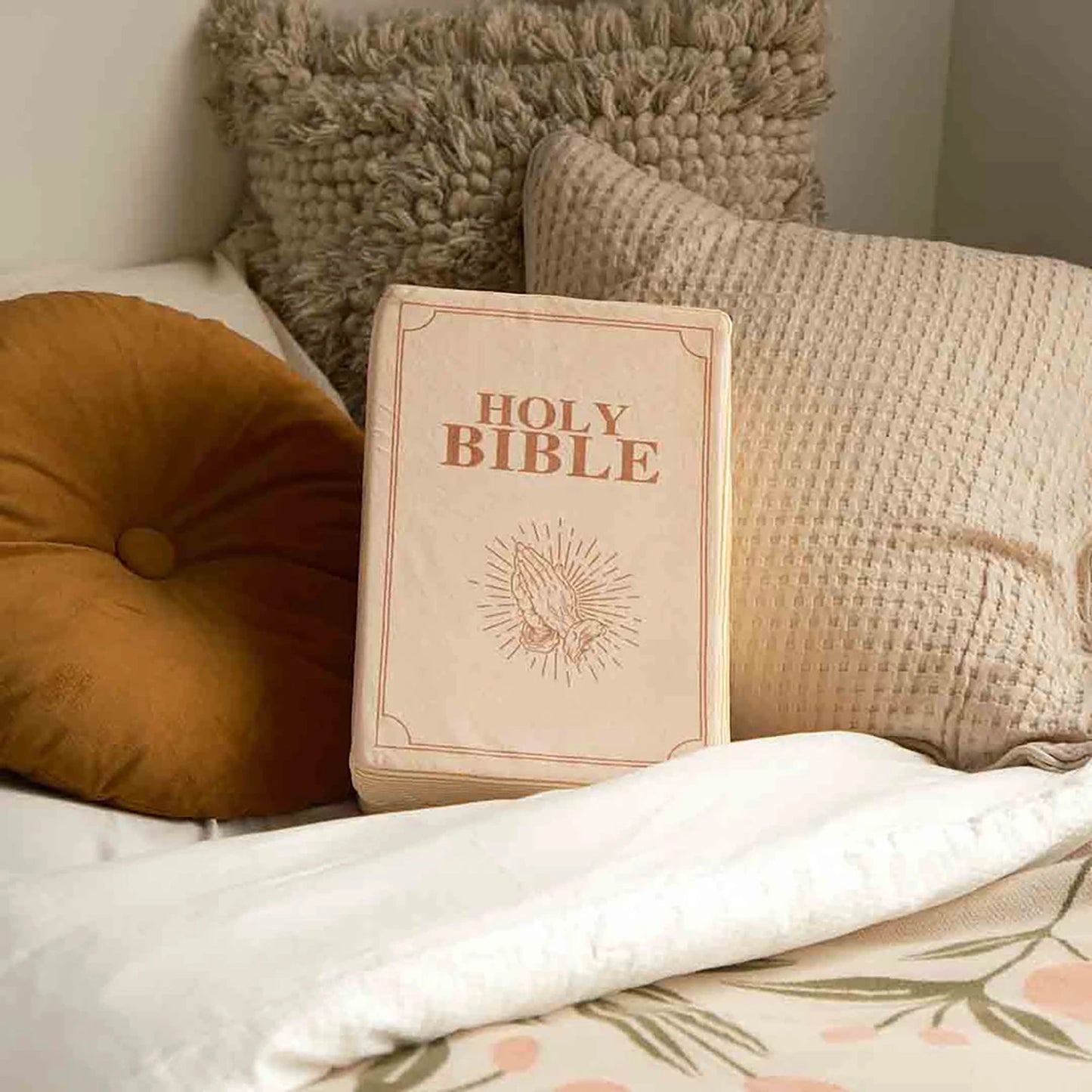 The Bible Pillow