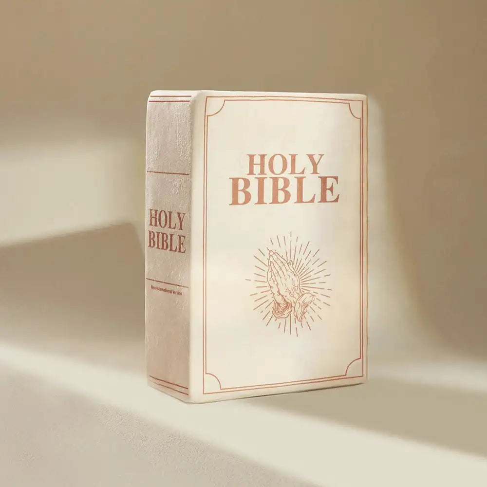 The Bible Pillow